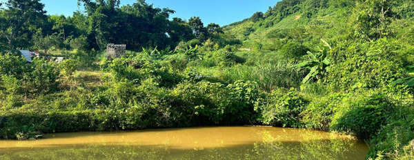 Hợp Phong, Cao Phong 785 triệu bán đất có diện tích rộng 2946m2-03