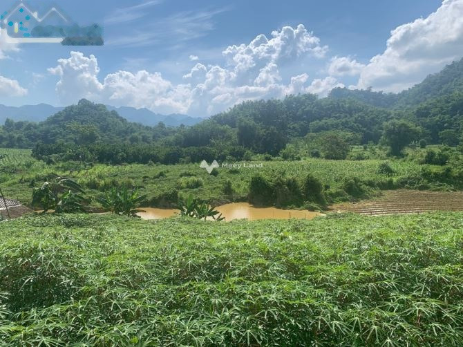 Ngay trên Tân Lạc, Hòa Bình bán đất giá hợp lý 1.2 tỷ diện tích 1907m2, bề ngang đường rộng 10 m-01