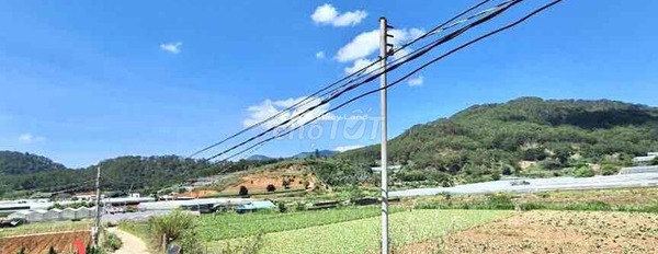 Phường 10, Lâm Đồng bán đất giá bán cạnh tranh 8 tỷ diện tích mặt tiền 2842m2-03