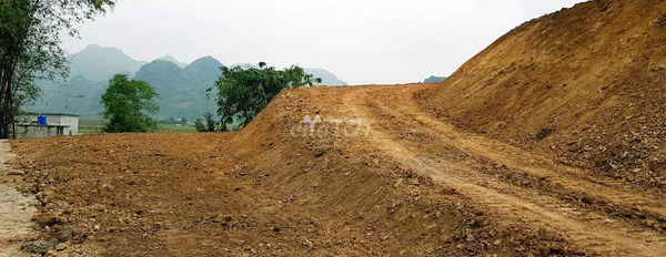 Vị trí đặt tọa lạc ngay ở Kim Bôi, Hòa Bình bán đất giá hạt dẻ từ 6.13 tỷ với diện tích là 2789m2-03