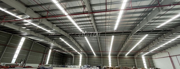 Có diện tích chung là 5000m2 cho thuê đất thuê ngay với giá khuyến mãi chỉ 500 triệu/tháng-03