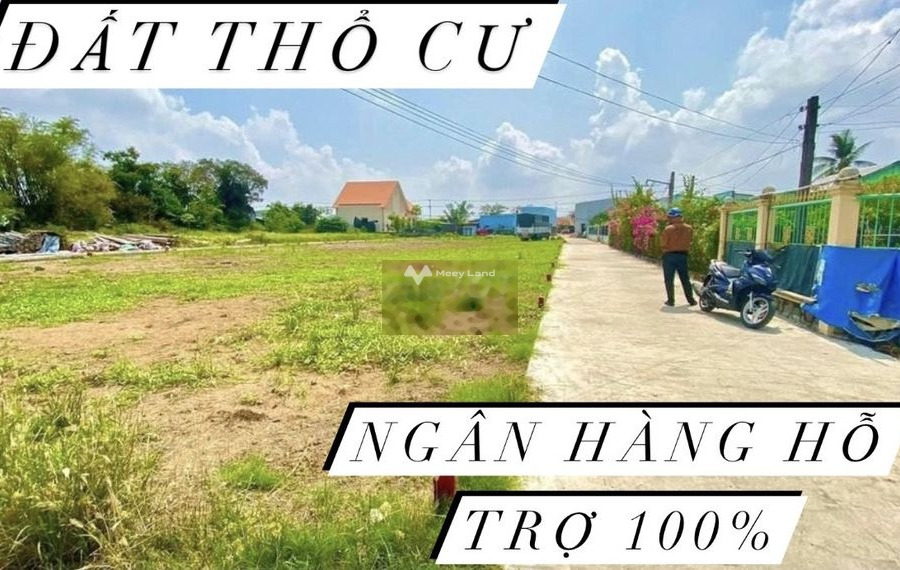 Nằm tại Đinh Đức Thiện, Long An bán đất giá bán hữu nghị từ 950 triệu với diện tích thực 115m2-01