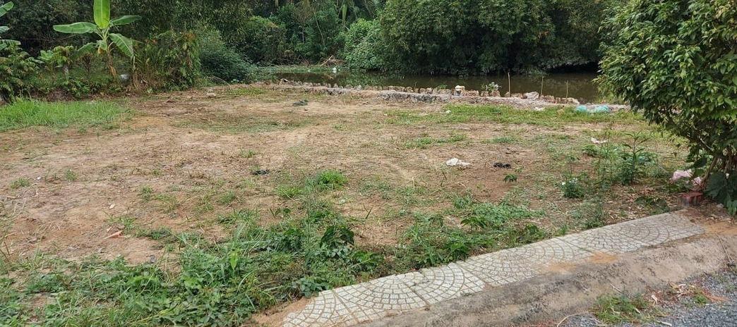 Bán đất mặt tiền sông gần quốc lộ 1A, giáp ranh Long An, Châu Thành, Tiền Giang