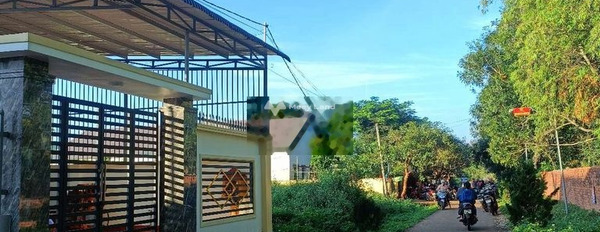 750 triệu bán đất có một diện tích sàn 248m2 ở Hòa Đông, Krông Pắc, hướng Nam-03