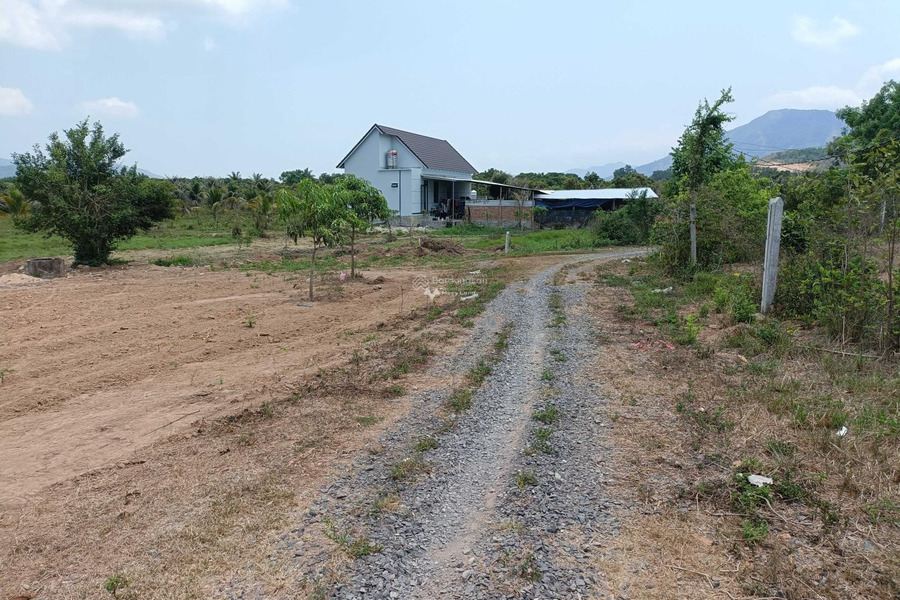 Đất vườn giá rẻ Diên Khánh ,cách Trung Tâm TP Nha 18km,chỉ 419 triệu. giá tốt nhất-01