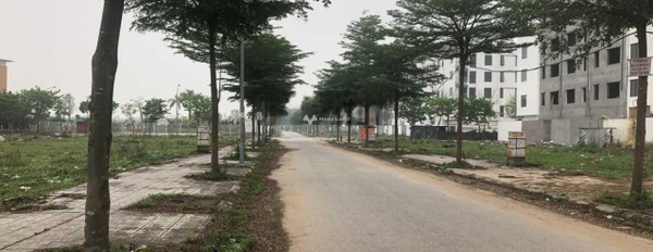 Lotus Garden Từ Sơn, Bắc Ninh bán đất diện tích thực là 100m2-02
