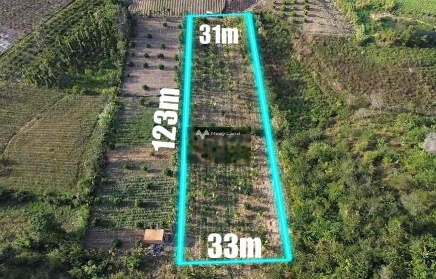 Ngay Cư Kuin, Đắk Lắk bán đất 99 triệu Có tổng diện tích 4000m2-01