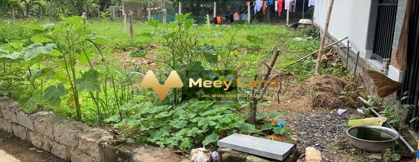Bán đất nằm tại xã Diên Lộc, tỉnh Khánh Hòa giá 475 triệu-03
