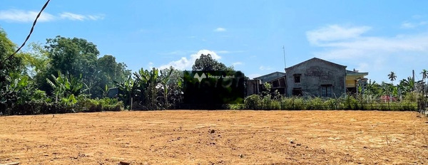 Bán đất 611 triệu Vành Đai, Cẩm Lệ có diện tích gồm 105m2-02