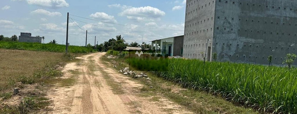 Bán đất 590 triệu Trí Bình, Tây Ninh với diện tích khoảng 350m2-02