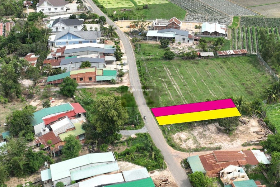 Giá bán khủng 350 triệu bán đất diện tích tổng là 175m2 vị trí ở Tiên Thuận, Tây Ninh-01