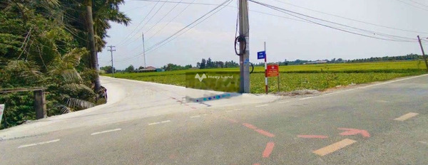 Nền thổ đường Cầu Dừa cách nhựa Huỳnh Văn Đảnh 200m -02