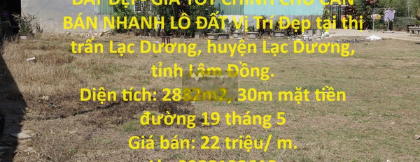 Vị trí đặt tọa lạc ở Lạc Dương, Lâm Đồng bán đất giá cực sốc 56 tỷ có diện tích rộng 2882m2-02