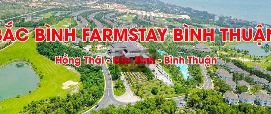 Vị trí tốt tại Hòa Thắng, Bình Thuận bán đất giá khoảng từ 385 triệu tổng diện tích 3401m2-01