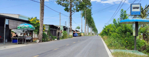 Ngay An Phú, Hồ Chí Minh bán đất 2.1 tỷ diện tích như sau 250m2-02