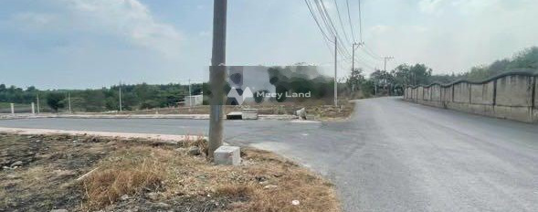 Đồng Phú, Bình Phước bán đất có diện tích thực là 950m2-02