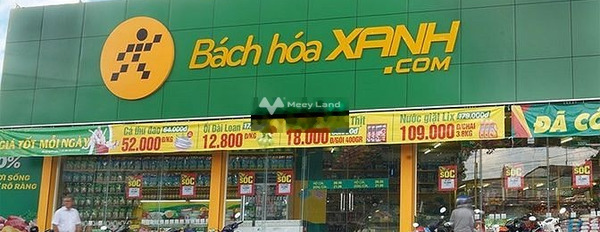 1.2 tỷ bán đất diện tích trong khoảng 300m2 vị trí đặt vị trí nằm tại Tân Định, Bến Cát-03