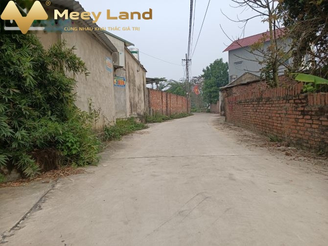 1.75 tỷ bán đất có dt rộng 130m2 vị trí đặt vị trí nằm tại Sóc Sơn, Hà Nội-01