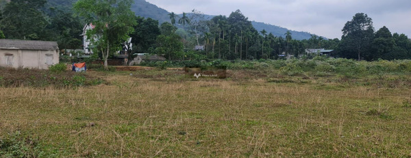 Bán đất có diện tích tổng là 5336m2 vị trí đặt nằm trên Liên Xã, Lương Sơn-03