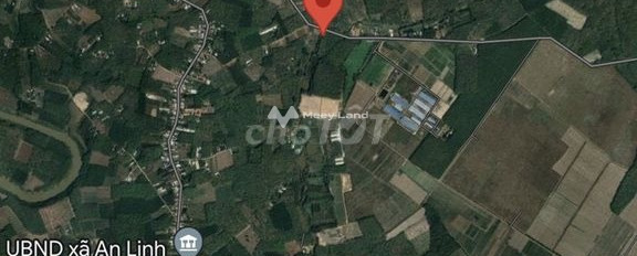 Khoảng 550 triệu bán đất có diện tích chung 1726m2 vị trí đặt tại Phước Sang, Phú Giáo-02