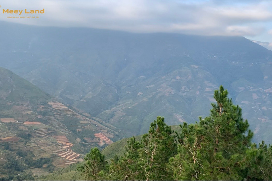 2.000 m2 đất Tà Xùa vị trí hot điểm săn mây sống lưng Khủng Long chỉ 800 triệu-01