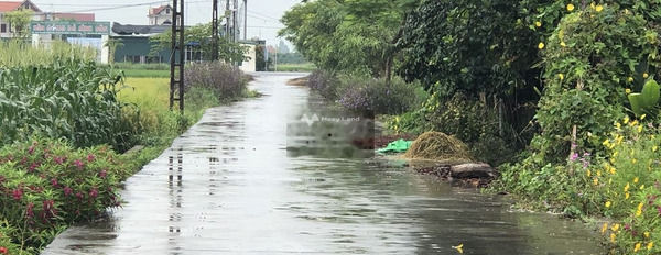 Bán đất thổ cư Bình Dân, Kim Thành diện tích 200m2-03