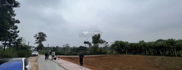 Triệu Sơn, Thanh Hóa bán đất giá khởi đầu từ 410 triệu diện tích trong khoảng 1155m2-03