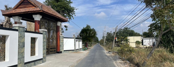 Cần bán 528m2 ( 12m x 46m ) đất thị trấn Cần Giuộc, kết nối TPHCM 15km -03