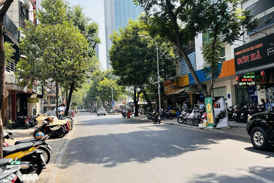 Cần cho thuê nhà ở Nằm ngay trên Bến Nghé, Hồ Chí Minh, giá thuê khởi đầu từ 160 triệu/tháng có diện tích rộng 90m2 nhà kiên cố-01