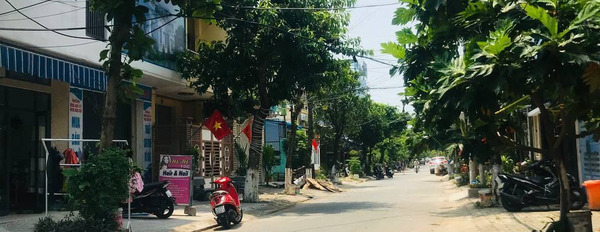 Bán lô đất mặt tiền đường Thế Lữ, phường An Hải Bắc, quận Sơn Trà, Đà Nẵng-03