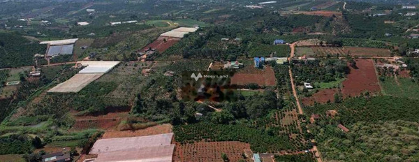 7.5 tỷ bán đất diện tích chuẩn là 16000m2 Bên trong Mê Linh, Lâm Hà-03