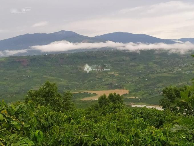 Bán trang trại cafe (3 ha) view đẹp tại Lâm Đồng, cách sân bay Liên Khương chỉ 30km chính chủ đăng tin-01