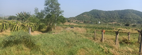 Bán đất mặt tiền đường đất 5m, gần Nguyễn Minh Châu-02