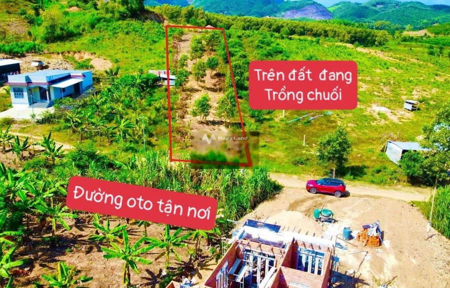 Bán đất 590 triệu Khánh Phú, Khánh Vĩnh diện tích rộng rãi 1000m2-01
