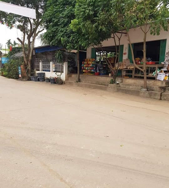 Cần thanh khoản gấp lô đất tại thôn Trại Giềng, Thanh Vân, Tam Dương-01
