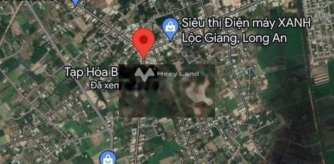 Gia đình khó khăn bán đất Lộc Giang, Đức Hòa giá chốt nhanh 4.56 tỷ diện tích chung là 1020m2-02