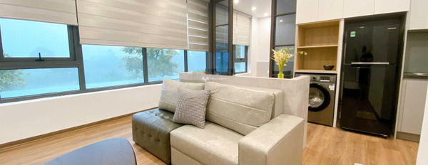 Cho thuê căn hộ chung cư giá 8 triệu/tháng, diện tích 25m2 vị trí đẹp ở Vĩnh Niệm, Lê Chân-02