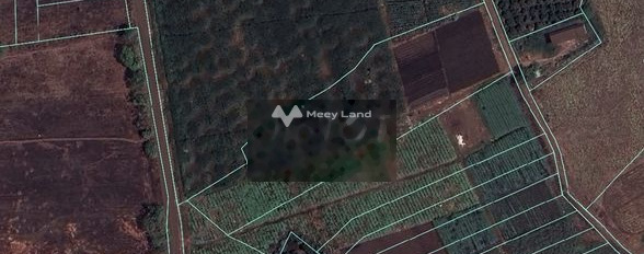 Bảo Quang, Đồng Nai bán đất giá siêu khủng 1 tỷ có diện tích sàn 1008m2-02