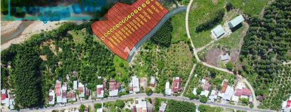 Khánh Vĩnh, Khánh Hòa bán đất giá đề cử từ 6.26 triệu có diện tích tổng là 304m2-02