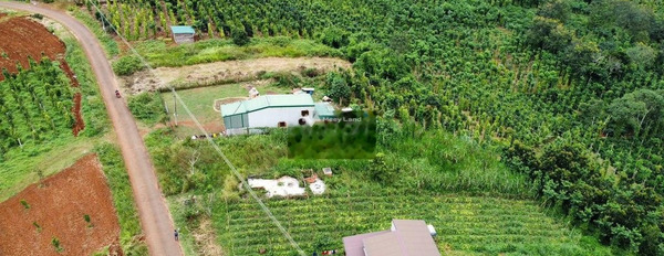 Giá cực mềm chỉ 850 triệu bán đất diện tích thực tế 600m2 mặt tiền tọa lạc ở Nam Bình, Đắk Song-02