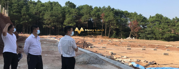 Giá bán cực mềm chỉ 900 triệu, Bán đất có tổng dt 100 m2 ngay trên Thị Trấn Cao Lộc, Huyện Cao Lộc thuận tiện đi lại-03