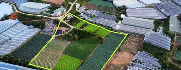8 lô đất nông nghiệp diện tích 600-1600m2 tại phường 5 Đà Lạt SHR -03