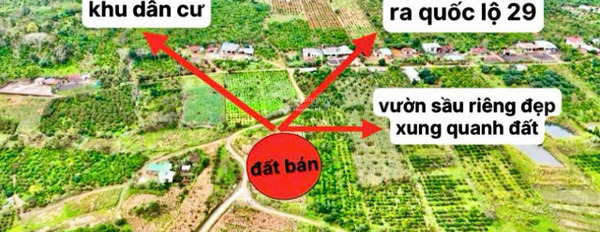 Giá cực rẻ 89 triệu bán đất có diện tích tiêu chuẩn 500m2 vị trí mặt tiền ở Krông Năng, Đắk Lắk-03