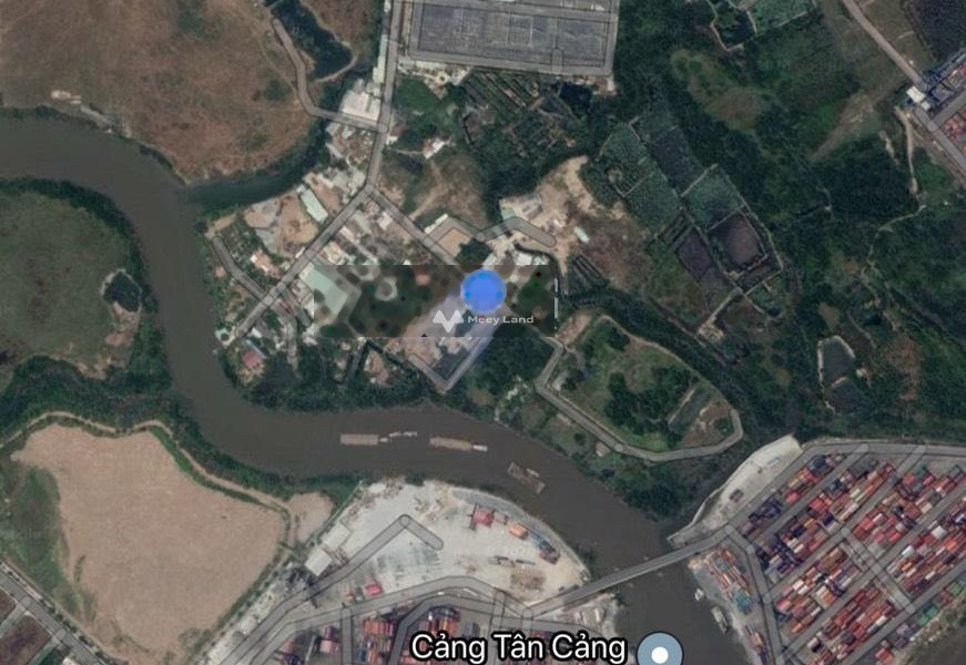Chính chủ bán đất trồng cây lâu năm đường Gò Cát, Phú Hữu, Quận 9, diện tích 50m x110m -01