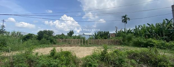 Điện Phong, Quảng Nam bán đất giá công khai 600 triệu, hướng Đông diện tích quy đổi 100m2-03