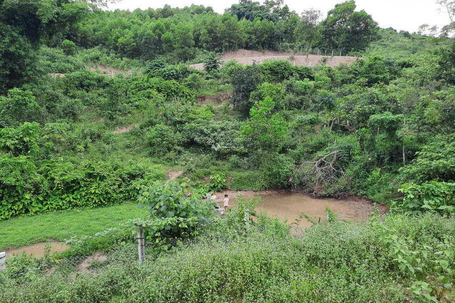 Bán đất 6.8 tỷ Cao Sơn, Lương Sơn diện tích khoảng 3871m2-01