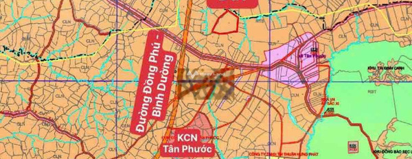 Giá bán phải chăng 350 triệu bán đất với diện tích tiêu chuẩn 2000m2 vị trí mặt tiền ngay ở Tân Phước, Bình Phước-03