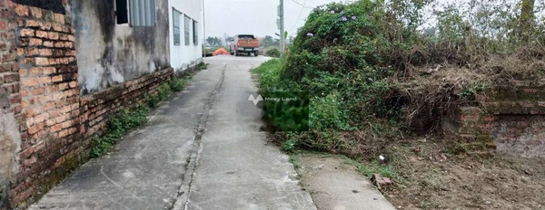 Bán mảnh đất giá 8 triệu, diện tích 187m2 tại Quảng Phú, Lương Tài-02