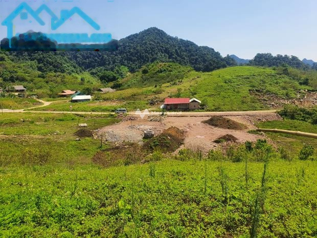Mộc Châu, Sơn La 13.1 tỷ bán đất có diện tích chuẩn 22457m2-01