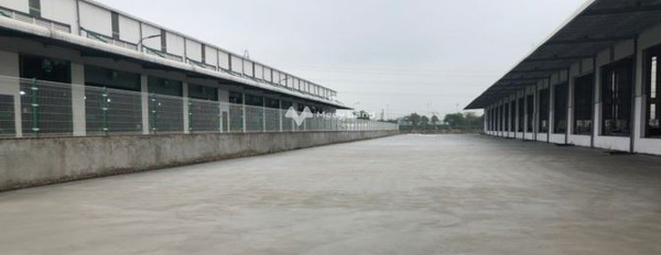 Cắt lỗ cho thuê kho bãi với diện tích tiêu chuẩn 5000m2 vị trí đẹp nằm ngay Quốc Lộ 5, Mỹ Hào giá thuê công khai 300 triệu/tháng liên hệ chính chủ-02